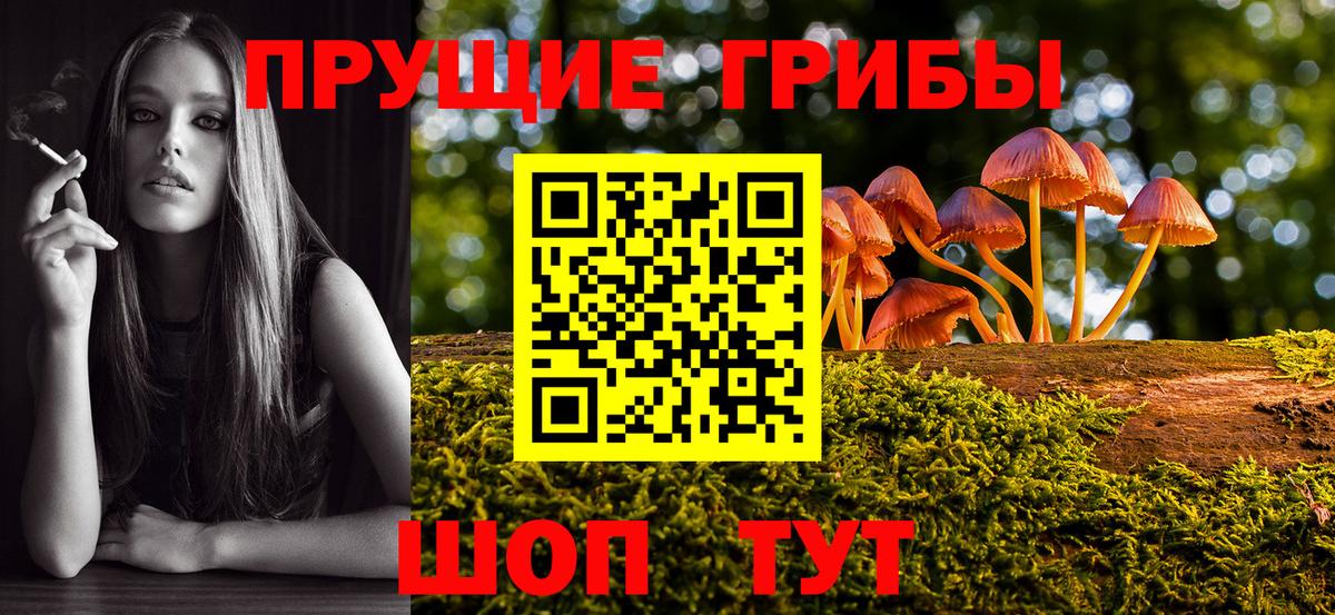 Псилоцибиновые грибы Psilocybine cubensis Нижний Тагил