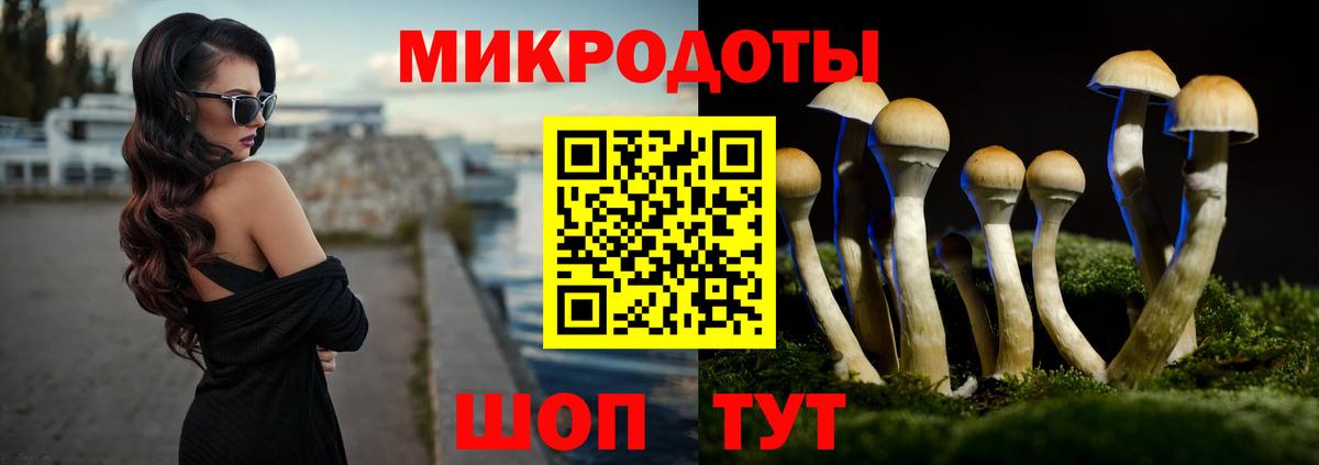 сколько стоит  Псилоцибиновые грибы ЛСД  Нижний Тагил  Вход с VPN  Псилоцибиновые грибы Cubensis 